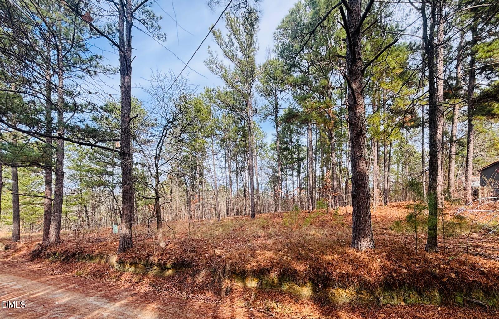 0 Mye Lane Cameron, NC 28326 - Photo 14 of 14 a backyard of a house with lots of green space
