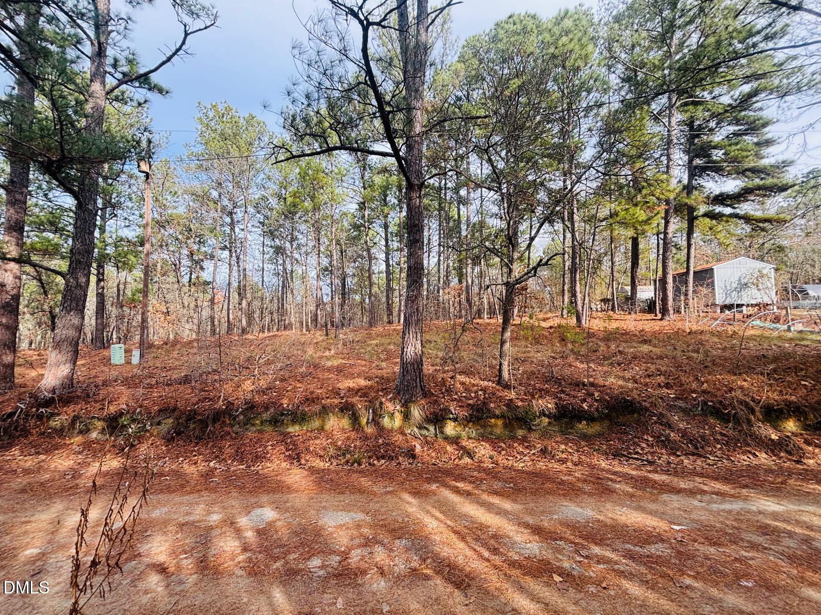 0 Mye Lane Cameron, NC 28326 - Photo 2 of 14 a backyard of a house with lots of green space