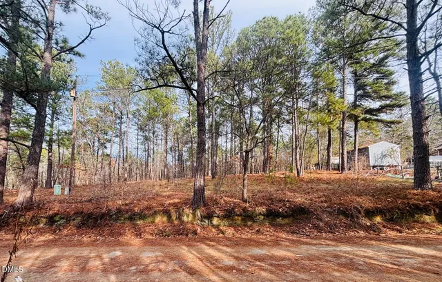 a view of a yard with trees