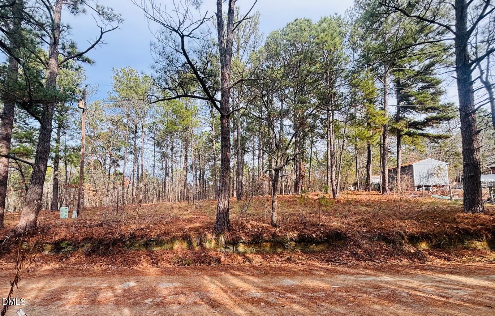 0 Mye Lane Cameron, NC 28326 - Photo 3 of 14 a view of a yard with trees