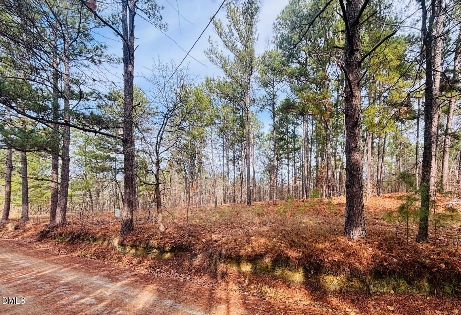 0 Mye Lane Cameron, NC 28326 - Photo 4 of 14 a backyard of a house with lots of green space