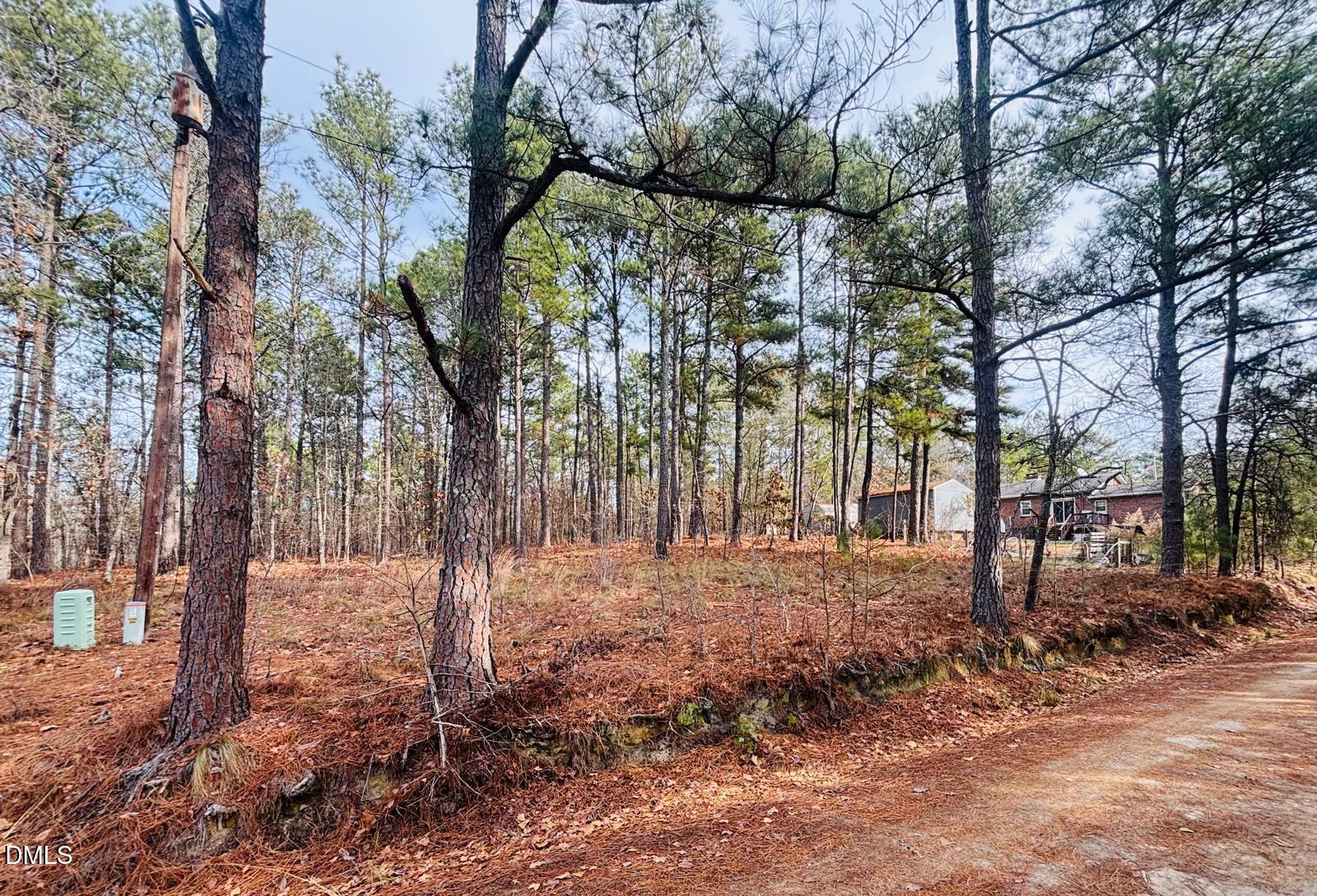 0 Mye Lane Cameron, NC 28326 - Photo 5 of 14 a view of yard with trees