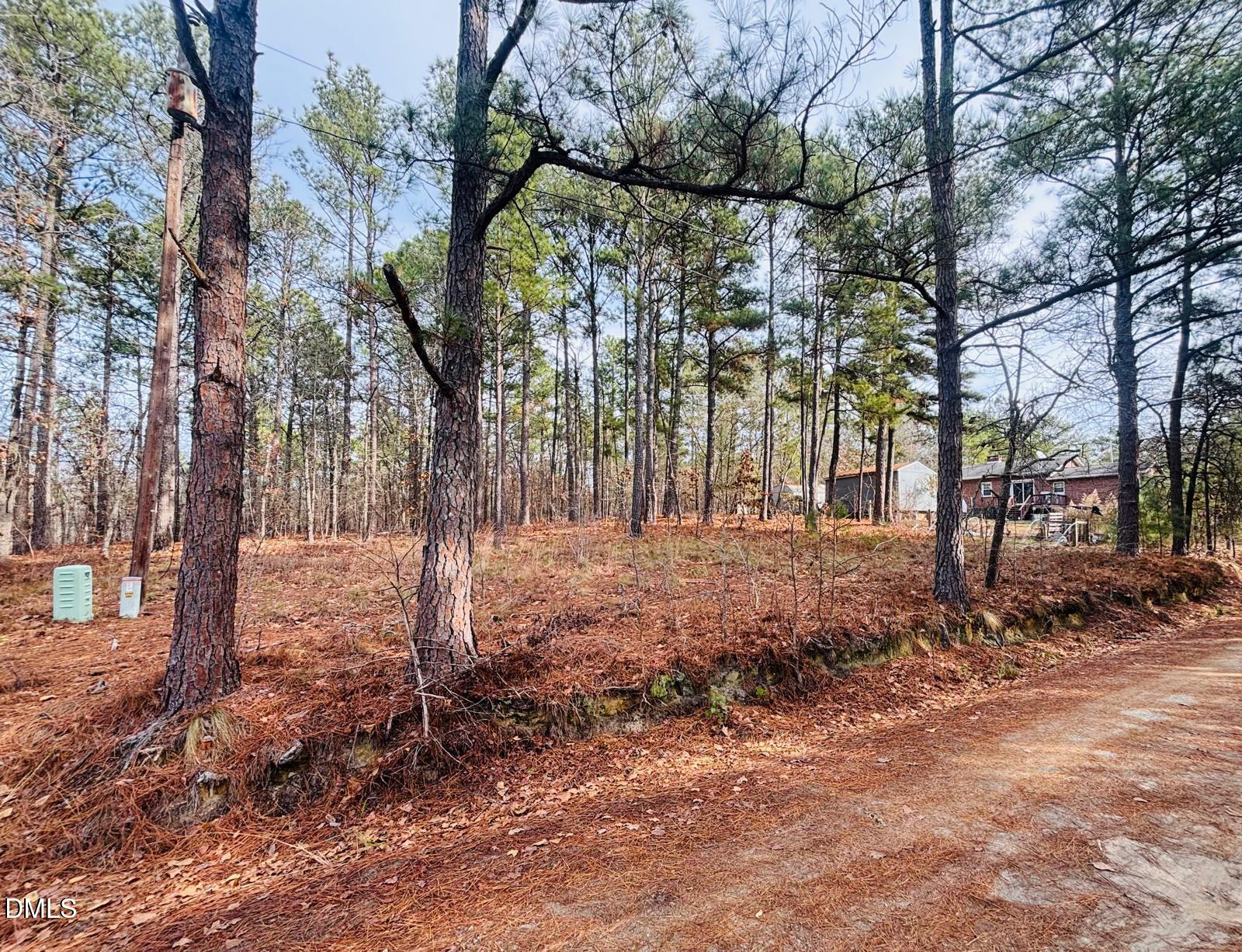 0 Mye Lane Cameron, NC 28326 - Photo 6 of 14 a backyard of a house with lots of green space