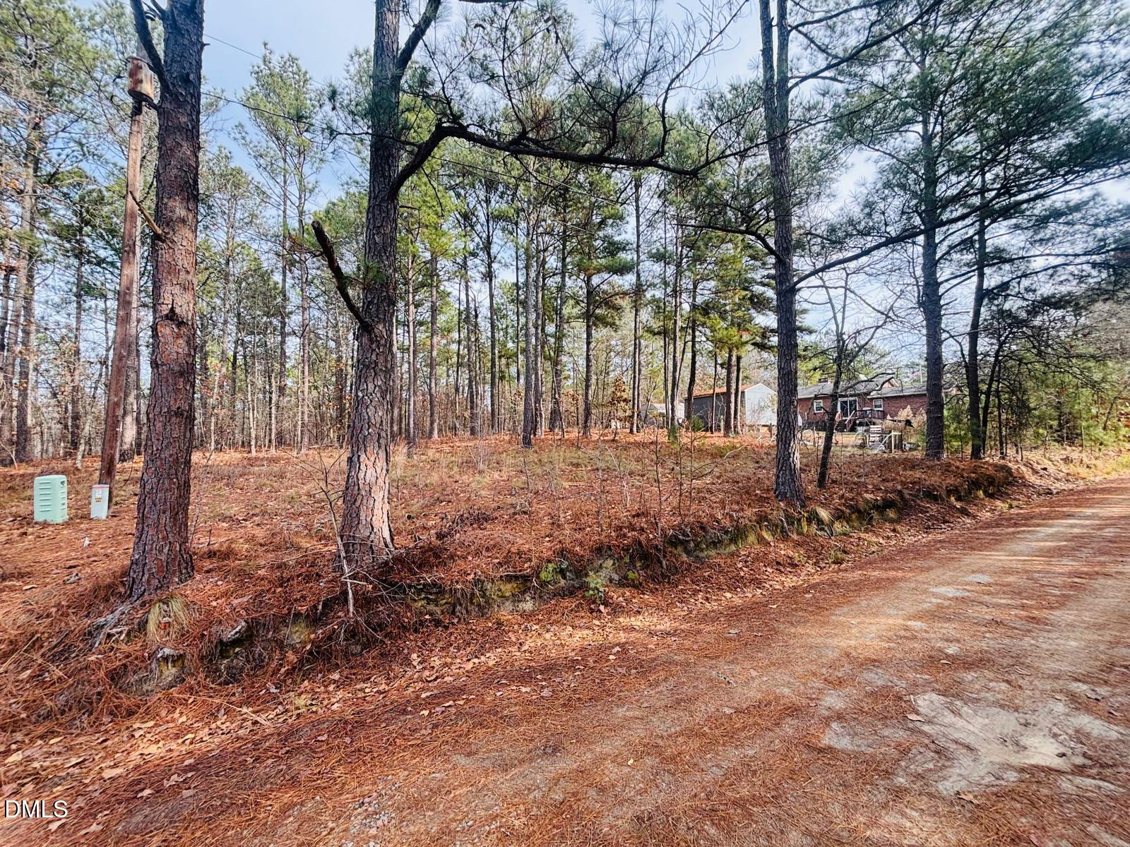 0 Mye Lane Cameron, NC 28326 - Photo 7 of 14 a view of a yard with a tree