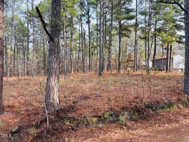 a fire hydrant in middle of forest