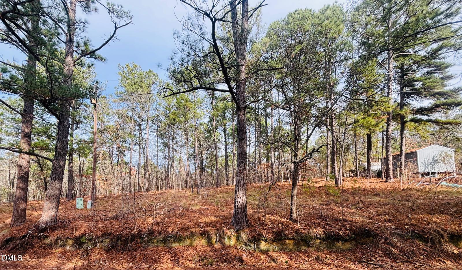 0 Mye Lane Cameron, NC 28326 - Photo 9 of 14 a backyard of a house with lots of green space