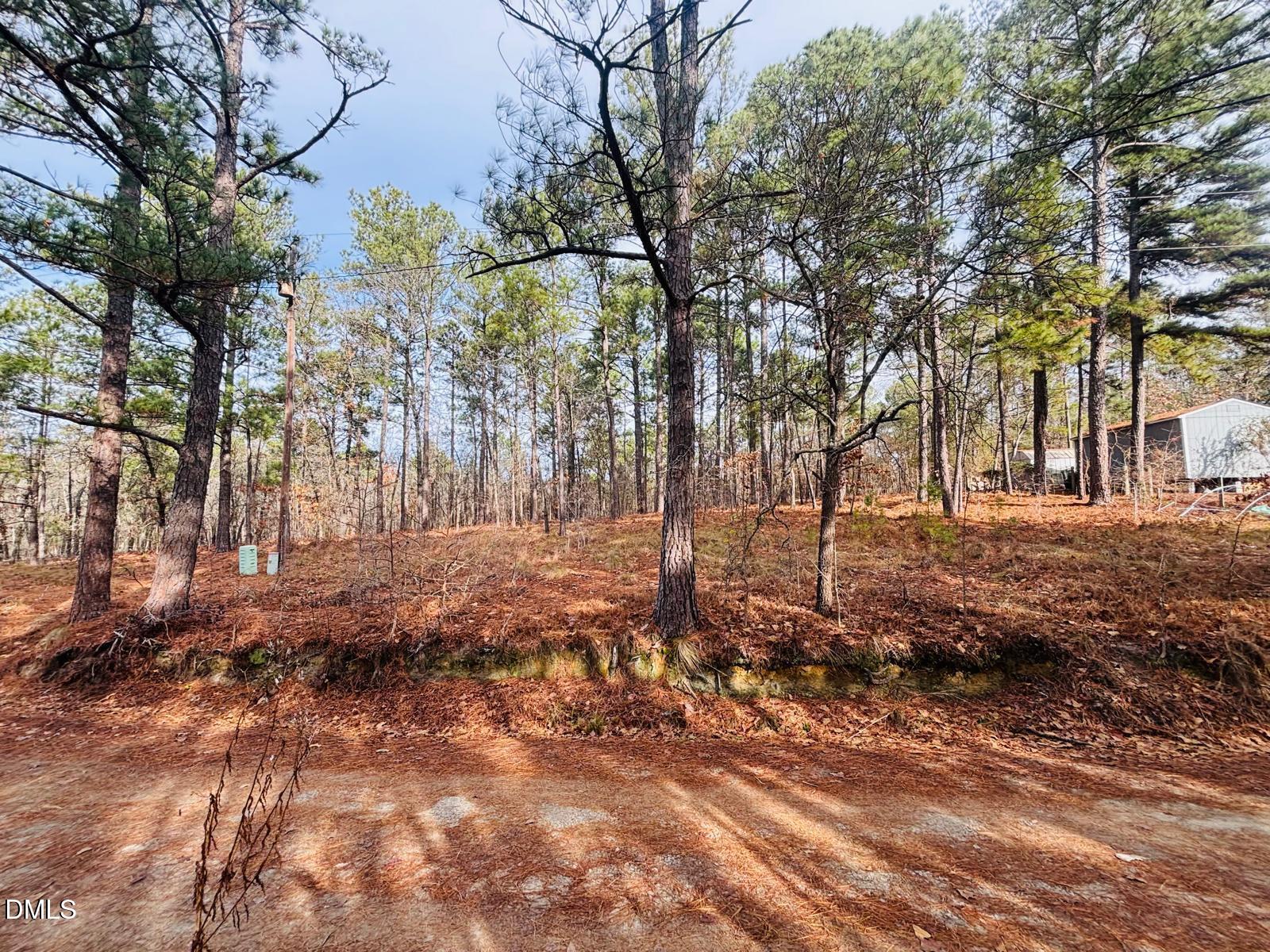 0 Mye Lane Cameron, NC 28326 - Photo 10 of 14 a backyard of a house with lots of green space
