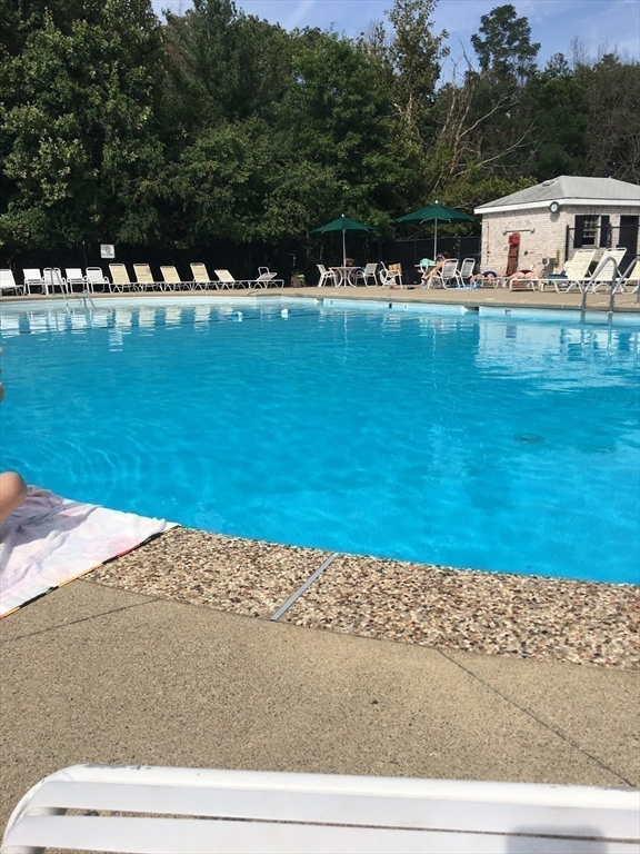 166 Lake Shore Road, Unit 1 Boston, MA 02135 - Photo 8 of 9