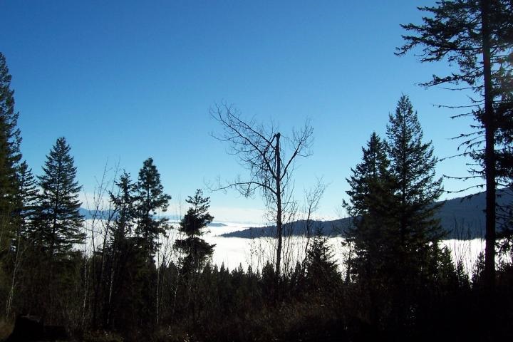 Xx Xx Jackknife Outllook Road Kettle Falls, WA 99141 - Photo 14 of 20 Gallery Image 14