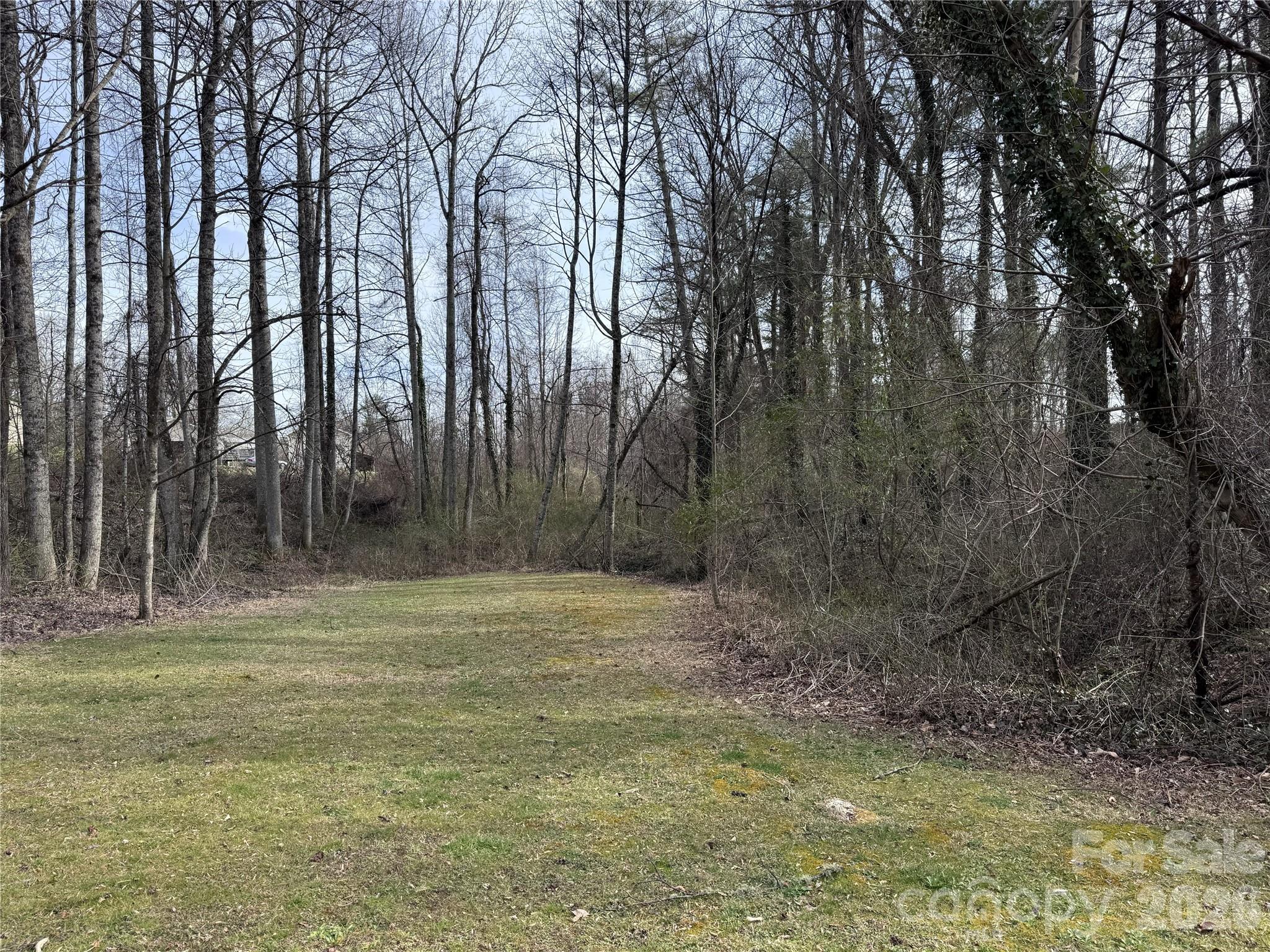 0 Jackson Loop Road, Unit 3 Flat Rock, NC 28731 - Photo 2 of 12 a view of a yard with large trees