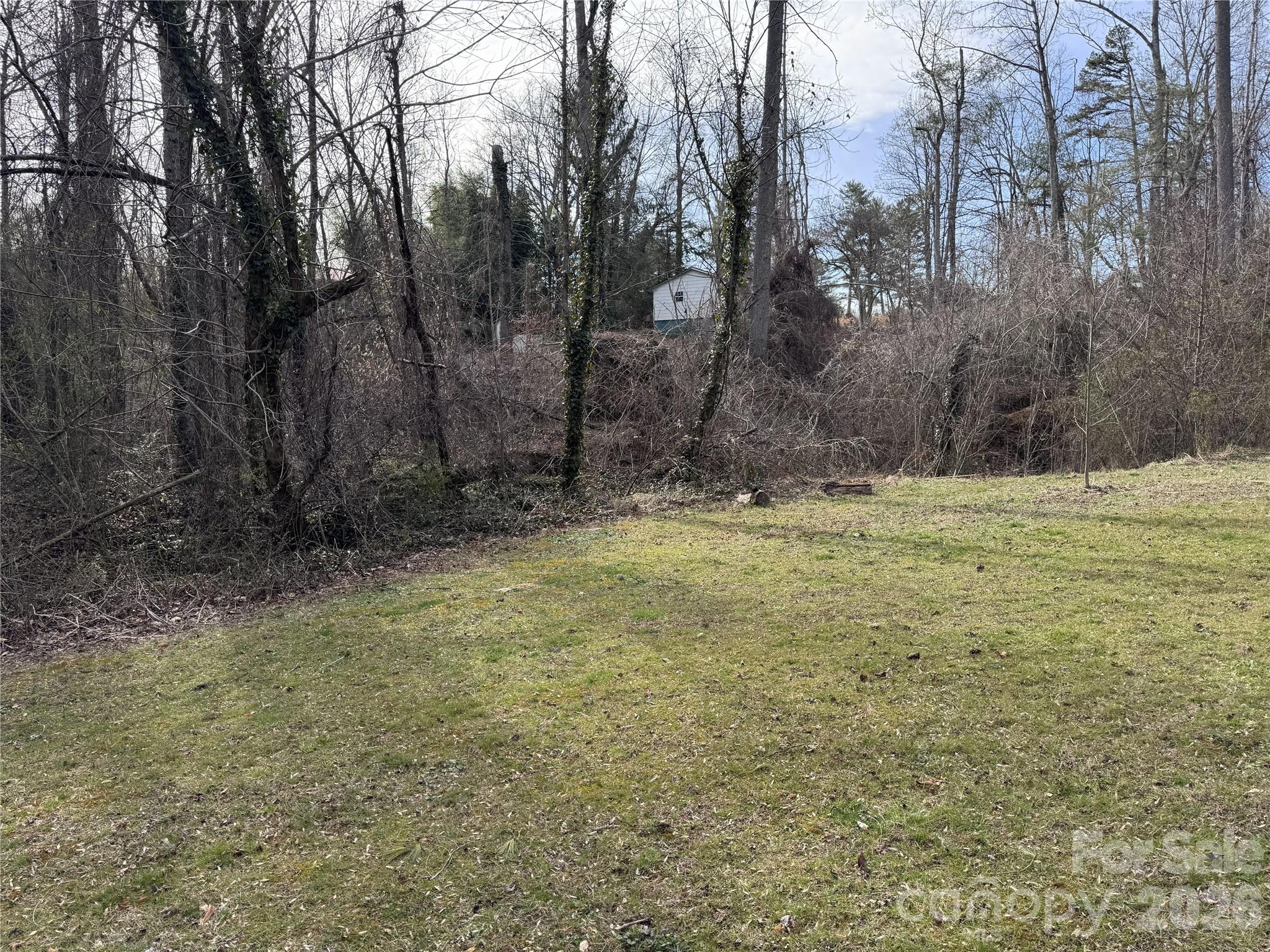 0 Jackson Loop Road, Unit 3 Flat Rock, NC 28731 - Photo 3 of 12 a view of outdoor space with trees