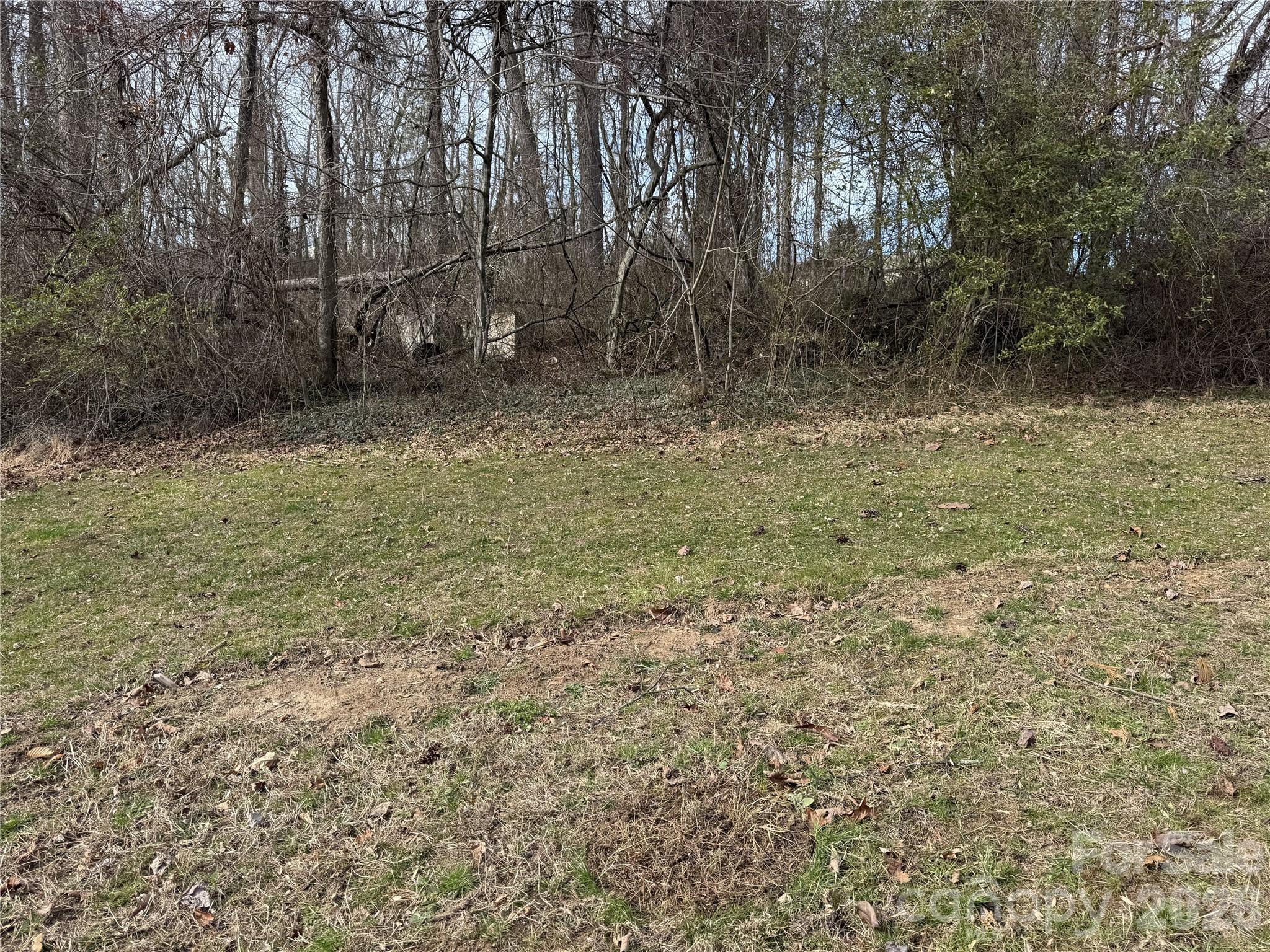 0 Jackson Loop Road, Unit 3 Flat Rock, NC 28731 - Photo 4 of 12 a view of backyard with green space