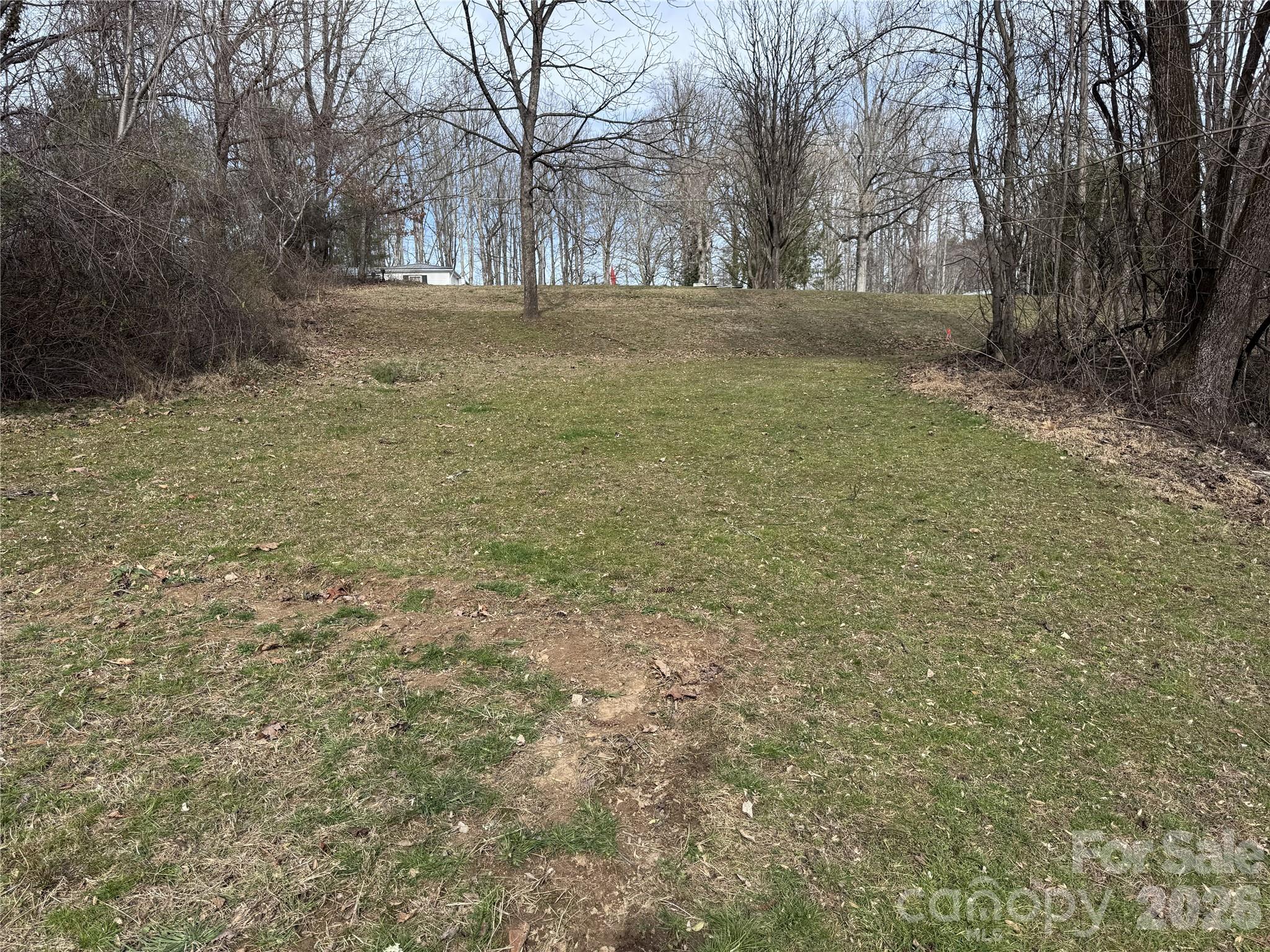 0 Jackson Loop Road, Unit 3 Flat Rock, NC 28731 - Photo 5 of 12