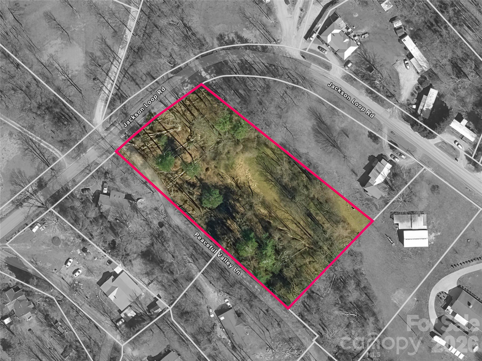 0 Jackson Loop Road, Unit 3 Flat Rock, NC 28731 - Photo 6 of 12