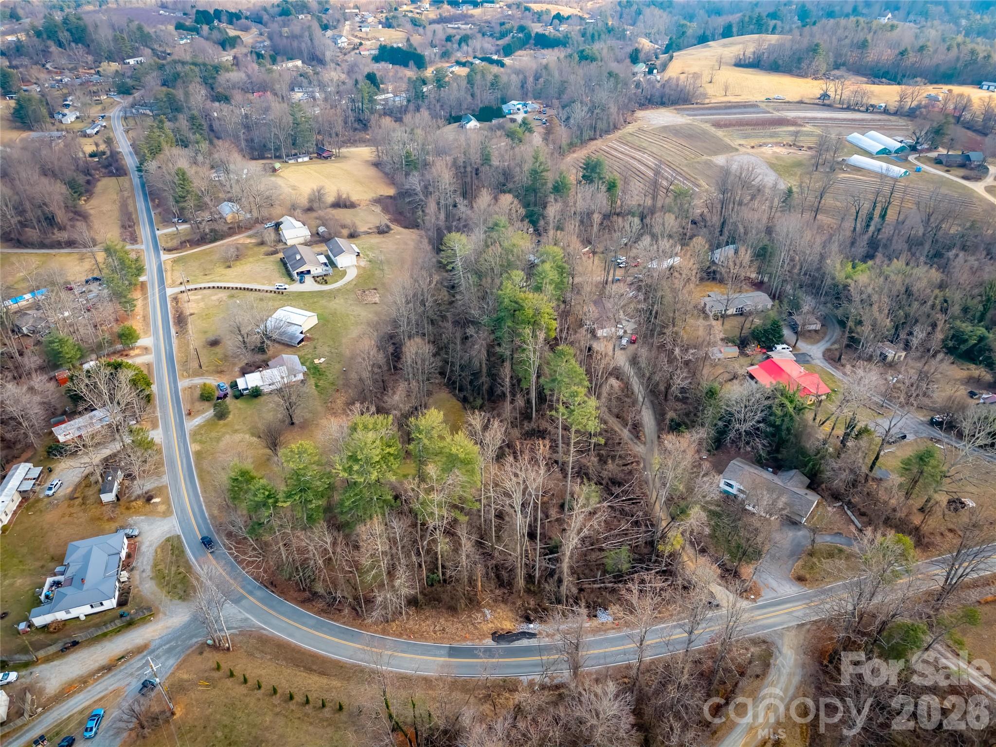 0 Jackson Loop Road, Unit 3 Flat Rock, NC 28731 - Photo 7 of 12 a view of a garden