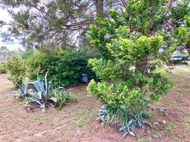 17 Nowling Drive DeFuniak Springs, FL 32433 - Photo 45 of 52 a backyard of a house with lots of green space and a fountain