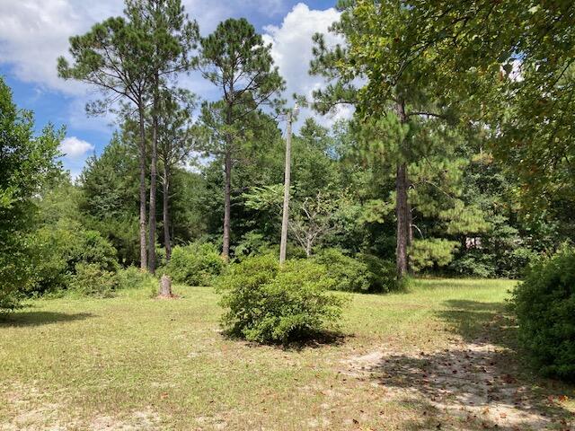 17 Nowling Drive DeFuniak Springs, FL 32433 - Photo 46 of 52 a view of a garden with large trees