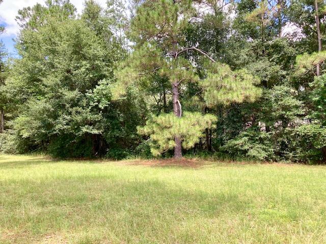 17 Nowling Drive DeFuniak Springs, FL 32433 - Photo 47 of 52 a view of outdoor space and yard