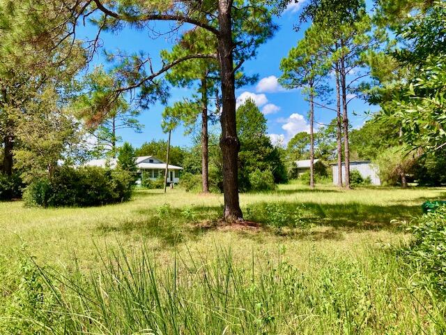 17 Nowling Drive DeFuniak Springs, FL 32433 - Photo 48 of 52 a view of backyard with green space