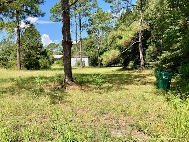 17 Nowling Drive DeFuniak Springs, FL 32433 - Photo 49 of 52 a view of a yard with plants