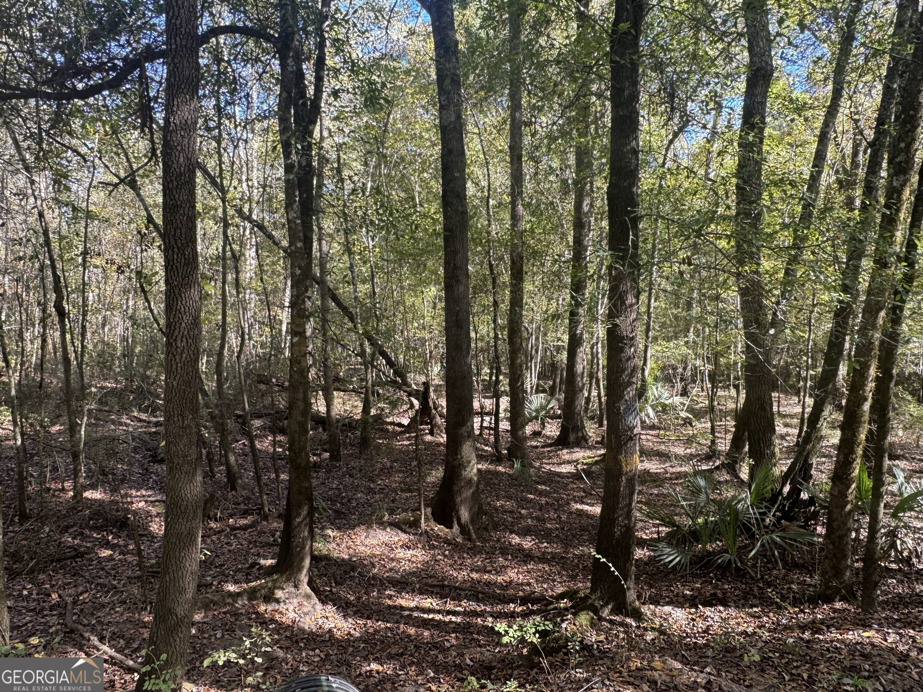 a view of outdoor space