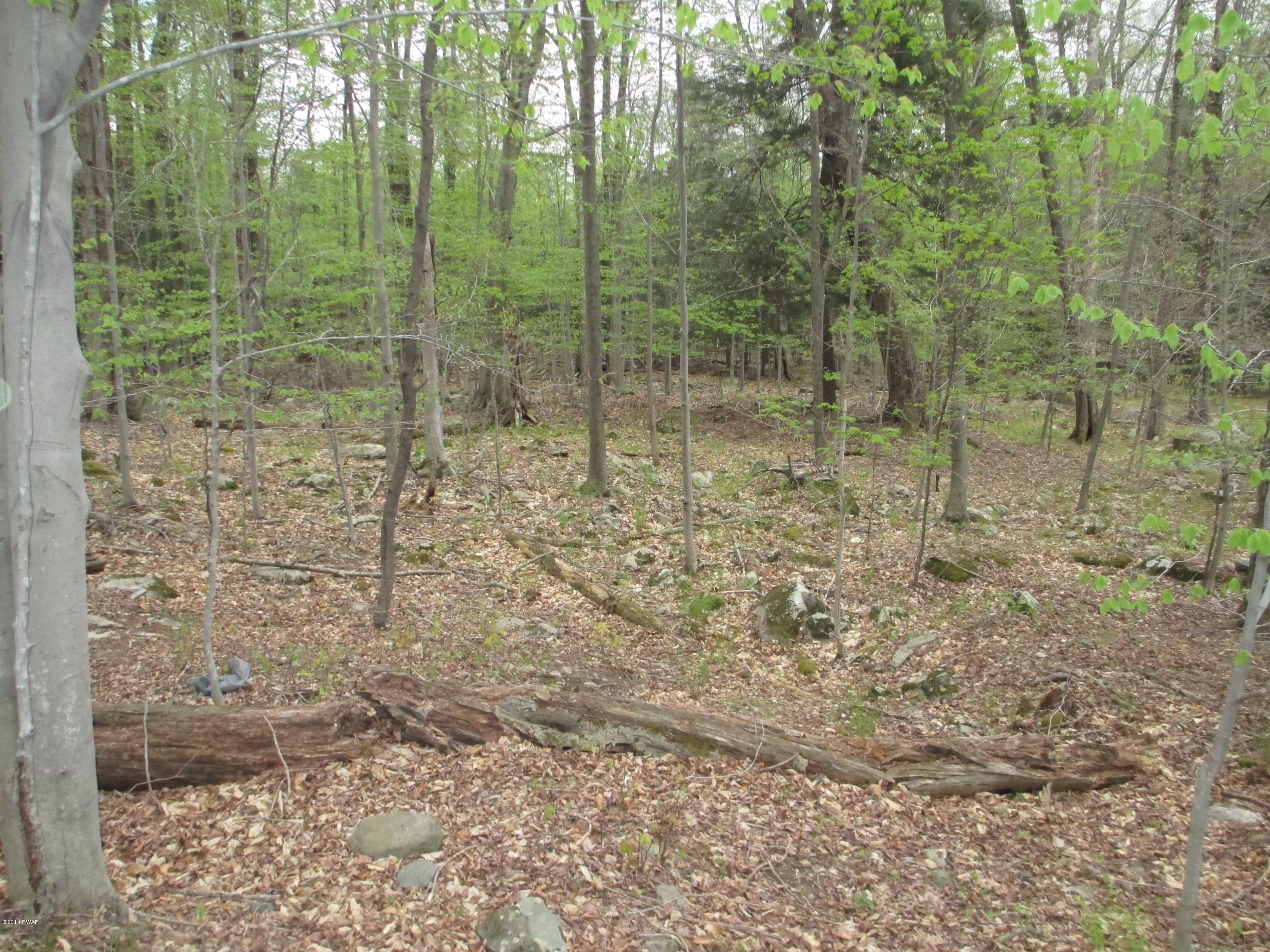 3868 Applegate Road Lake Ariel, PA 18436 - Photo 4 of 14