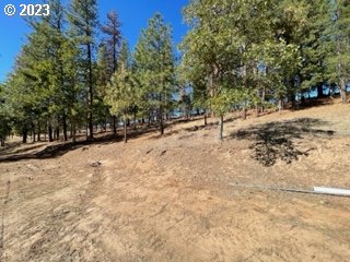 345 Woodland Road Goldendale, WA 98620 - Photo 16 of 48 Gallery Image 16