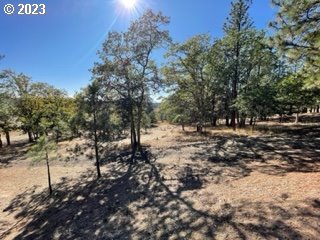 345 Woodland Road Goldendale, WA 98620 - Photo 18 of 48 Gallery Image 18