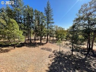345 Woodland Road Goldendale, WA 98620 - Photo 19 of 48 Gallery Image 19