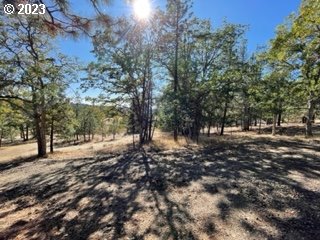 345 Woodland Road Goldendale, WA 98620 - Photo 21 of 48 Gallery Image 21