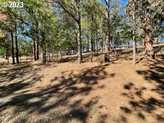 345 Woodland Road Goldendale, WA 98620 - Photo 22 of 48 Gallery Image 22