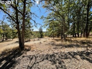 345 Woodland Road Goldendale, WA 98620 - Photo 23 of 48 Gallery Image 23