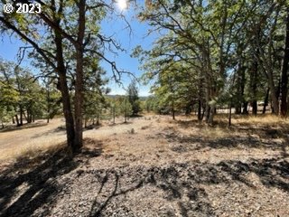 345 Woodland Road Goldendale, WA 98620 - Photo 24 of 48 Gallery Image 24