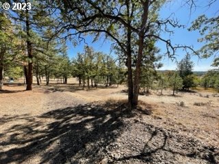 345 Woodland Road Goldendale, WA 98620 - Photo 25 of 48 Gallery Image 25