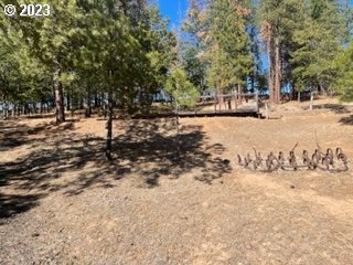345 Woodland Road Goldendale, WA 98620 - Photo 28 of 48 Gallery Image 28
