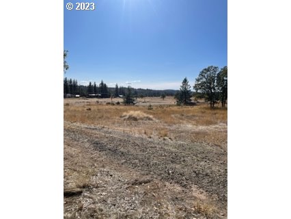 345 Woodland Road Goldendale, WA 98620 - Photo 29 of 48 Gallery Image 29