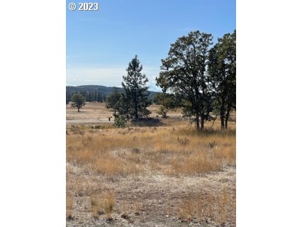 345 Woodland Road Goldendale, WA 98620 - Photo 30 of 48 Gallery Image 30