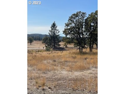345 Woodland Road Goldendale, WA 98620 - Photo 31 of 48 Gallery Image 31