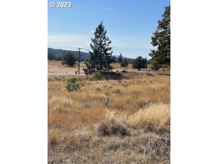 345 Woodland Road Goldendale, WA 98620 - Photo 32 of 48 Gallery Image 32