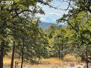 345 Woodland Road Goldendale, WA 98620 - Photo 34 of 48 Gallery Image 34