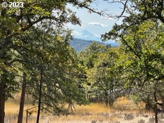 345 Woodland Road Goldendale, WA 98620 - Photo 35 of 48 Gallery Image 35