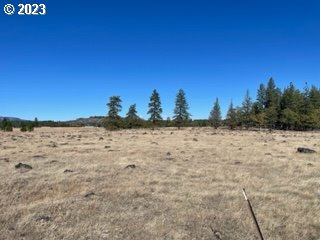 345 Woodland Road Goldendale, WA 98620 - Photo 41 of 48 Gallery Image 41