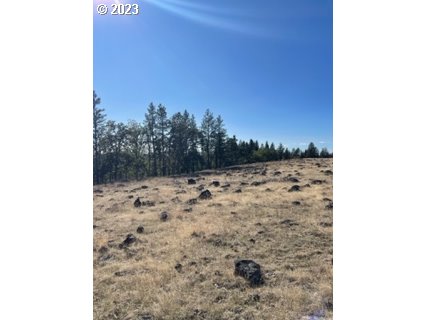 345 Woodland Road Goldendale, WA 98620 - Photo 43 of 48 Gallery Image 43