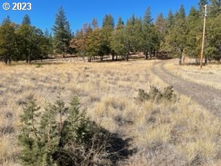 345 Woodland Road Goldendale, WA 98620 - Photo 6 of 48 Gallery Image 6