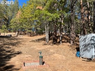 345 Woodland Road Goldendale, WA 98620 - Photo 9 of 48 Gallery Image 9