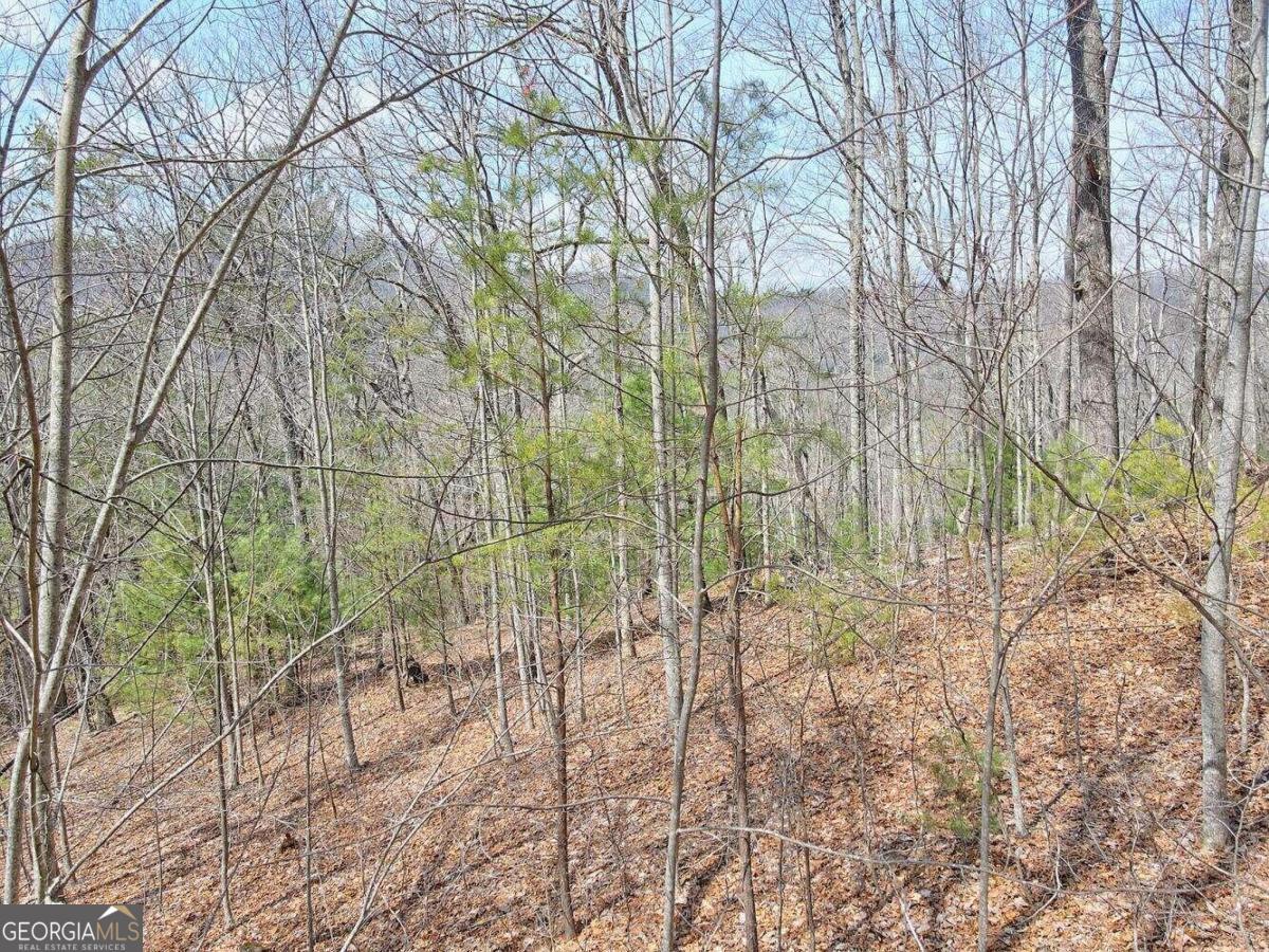 20-21 Mill Ridge Road Hiawassee, GA 30546 - Photo 1 of 1 Gallery Image 1