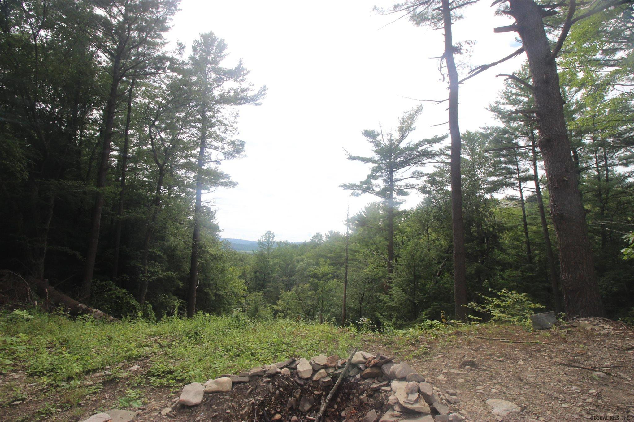 0 Johnson Road Glenville, NY 12302 - Photo 14 of 18 Photo 14