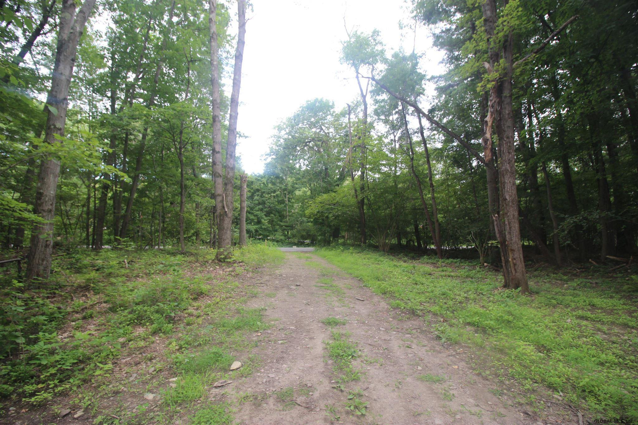 0 Johnson Road Glenville, NY 12302 - Photo 8 of 18 Photo 8