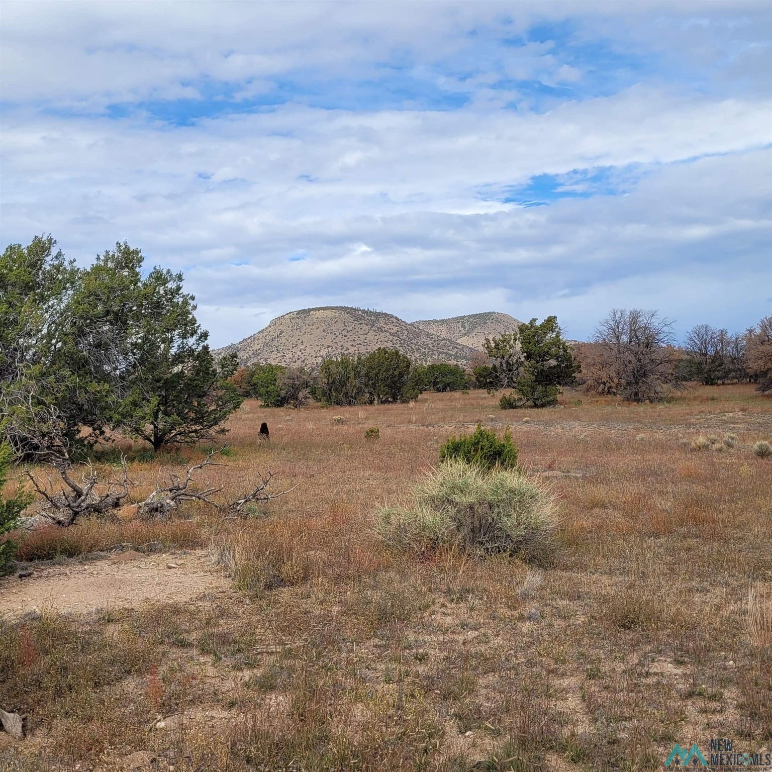 15 Elk Court Datil, NM 87821 - Photo 5 of 17 Gallery Image 5