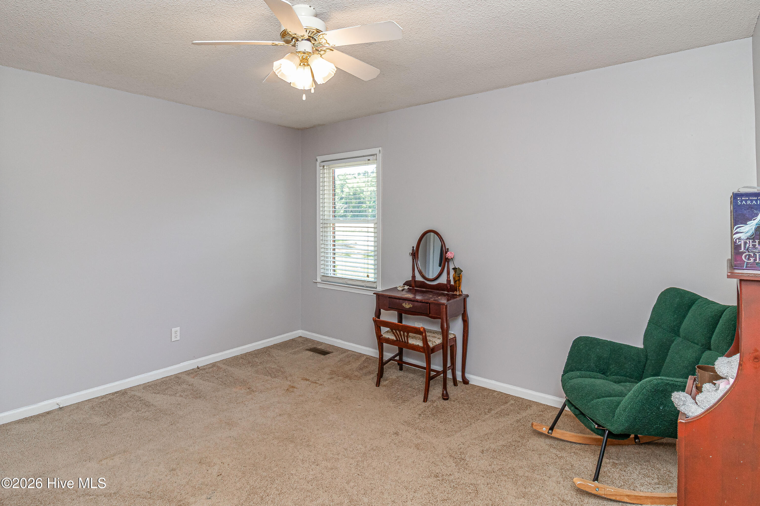 989 Garner Chapel Road Mount Olive, NC 28365 - Photo 14 of 25 room 2